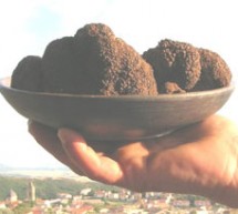 FOURTH OF TRUFFLE FESTIVAL – LACONI – SUNDAY JUNE 3