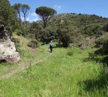 <!--:it-->ESCURSIONE A MONTE ARRUBIU – DOMENICA 8 DICEMBRE 2013<!--:--><!--:en-->EXCURSION TO MONTE ARRUBIU – SUNDAY DECEMBER 8<!--:-->