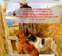 <!--:it-->ESPOSIZIONE CANINA – FIERA DELLA SARDEGNA – CAGLIARI – DOMENICA 23 FEBBRAIO 2014<!--:--><!--:en-->DOG FESTIVAL – FIERA OF SARDINIA – CAGLIARI – SUNDAY FEBRUARY 23,2014<!--:-->