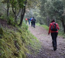 <!--:it-->ALLA SCOPERTA DEL MONTE LINAS – DOMENICA 9 FEBBRAIO 2014<!--:--><!--:en-->DISCOVERING LINAS MOUNTAIN – SUNDAY FEBRUARY 9,2014<!--:-->