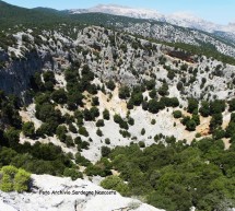 <!--:it-->TREKKING ALLA DOLINA DI SU SERHONE (OLIENA) – SABATO 5 APRILE 2014<!--:--><!--:en-->TREKKING IN DOLINA SU SERHONE (OLIENA) – SATURDAY AVRIL 5,2014<!--:-->