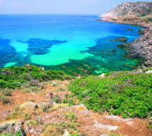 <!--:it-->ASINARA,UNA NOTTE NELL’ISOLA DESERTA – 17-18 MAGGIO 2014<!--:--><!--:en-->ASINARA,A NIGHT ON A DESERT ISLAND – MAY 17 TO 18,2014<!--:-->