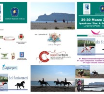 <!--:it-->LA VIA DEI FENICOTTERI – CAGLIARI – 29-30 MARZO 2014<!--:--><!--:en-->THE FLAMINGO’S ROUTE – CAGLIARI – MARCH 29 TO 30,2014<!--:-->