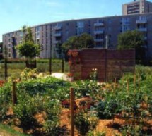 <!--:it-->ORTI URBANI A CAGLIARI, IL PRIMO SARA’ A PIRRI<!--:--><!--:en-->URBAN GARDENS IN CAGLIARI, THE FIRST WILL BE ‘A PIRRI<!--:-->