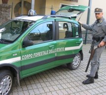 <!--:it-->CONCORSO PER GUARDIA FORESTALE – SCADE IL 28 APRILE 2014<!--:--><!--:en-->COMPETITION FOR RANGER – EXPIRES ON April 28, 2014<!--:-->