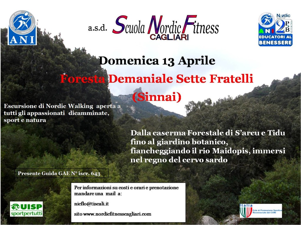 Locandina Passeggiata 13 Aprile 2014 Sette Fratelli