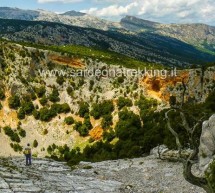 <!--:it-->TREKKING DI PASQUETTA NEL SUPRAMONTE: IL GRANDE ANELLO DI SU SUERCONE – LUNEDI 21 APRILE 2014<!--:--><!--:en-->EASTER TREKKING 2014 IN SUPRAMONTE: THE BIG RING SU SUERCONE – MONDAY APRIL 21,2014<!--:-->