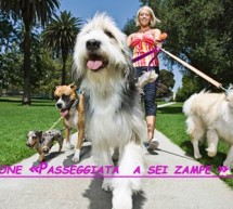 <!--:it-->2° EDIZIONE PASSEGGIATA A 6 ZAMPE – QUARTUCCIU – DOMENICA 15 GIUGNO 2014<!--:--><!--:en-->2nd EDITION WALKING AT 6 FEET – QUARTUCCIU – SUNDAY JUNE 15,2014<!--:-->