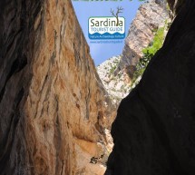 <!--:it-->ESCURSIONE AL CANYON DI GORROPPU – SABATO 7 GIUGNO 2014<!--:--><!--:en-->EXCURSION TO GORROPPU CANYON – SATURDAY JUNE 7,2014<!--:-->