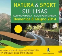 <!--:it-->NATURA & SPORT SUL LINAS – GONNOSFANADIGA – DOMENICA 8 GIUGNO 2014<!--:--><!--:en-->NATURE & SPORT IN LINAS – GONNOSFANADIGA – SUNDAY JUNE 8,2014<!--:-->