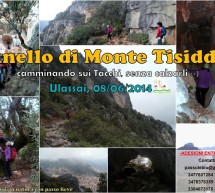 <!--:it-->ESCURSIONE ALL’ANELLO DI MONTE TISIDDU – ULASSAI – DOMENICA 8 GIUGNO 2014<!--:--><!--:en-->EXCURSION TO TISIDDU MOUNTAIN – ULASSAI – SUNDAY JUNE 8,2014<!--:-->