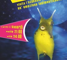 <!--:it-->NOTTI ALL’ACQUARIO DI CALA GONONE – OGNI VENERDI DI LUGLIO E AGOSTO<!--:--><!--:en-->NIGHT IN ACQUARIUM OF CALA GONONE – EVERY FRIDAY IN JULY AND AUGUST<!--:-->