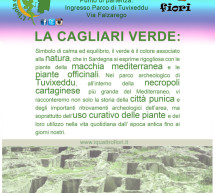 <!--:it-->LA CAGLIARI VERDE – CAGLIARI – GIOVEDI 17 LUGLIO 2014<!--:--><!--:en-->THE GREEN CAGLIARI – CAGLIARI – THURSDAY JULY 17,2014<!--:-->