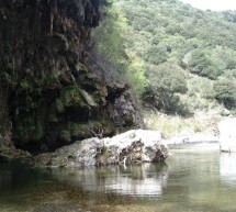 <!--:it-->ESCURSIONE A SA STIDDIOSA – DOMENICA 27 LUGLIO 2014<!--:--><!--:en-->EXCURSION TO SA STIDDIOSA – SUNDAY JULY 27,2014<!--:-->