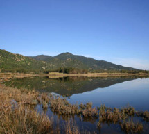 <!--:it-->BIRDWATCHING A COLOSTRAI – SABATO 19 LUGLIO 2014<!--:--><!--:en-->BIRDWATCHING IN COLOSTRAI – SATURDAY JULY 19,2014<!--:-->