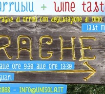 <!--:it-->TOUR AL NURAGHE ARRUBIU E WINE TASTING – MERCOLEDI 23 LUGLIO 2014<!--:--><!--:en-->TOUR IN NURAGHE ARRUBIU AND WINE TASTING – WEDNESDAY JULY 23,2014<!--:-->