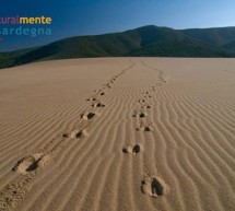 <!--:it-->ESCURSIONE NOTTURNA ALLE DUNE DI PISCINAS – SABATO 12 LUGLIO 2014<!--:--><!--:en-->NIGHT EXCURSION TO PISCINAS DUNES – SATURDAY JULY 12,2014<!--:-->