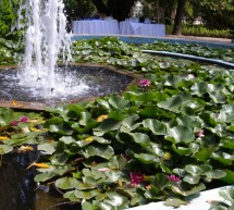 <!--:it-->SUONI E RITMI PER LA PACE- ORTO BOTANICO – CAGLIARI – DA LUNEDI 1 SETTEMBRE 2014<!--:--><!--:en-->SOUND & RHYTHM FOR PEACE – BOTANICAL GARDEN – CAGLIARI – FROM MONDAY SEPTEMBER 1,2014<!--:-->