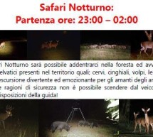 <!--:it-->SAFARI NOTTURNO A VILLASIMIUS DA VENERDI 1 AGOSTO 2014<!--:--><!--:en-->NIGHT SAFARI IN VILLASIMIUS FROM FRIDAY AUGUST 1,2014<!--:-->