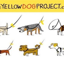 <!--:it-->UN FIOCCO GIALLO AL CANE ? STATE LONTANI !<!--:--><!--:en-->A BOW AT THE YELLOW DOG? STAY AWAY!<!--:-->