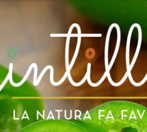 <!--:it-->GINTILLA, LA CUCINA NATURALE SBARCA AL CENTRO DI CAGLIARI<!--:--><!--:en-->GINTILLA, THE NATURAL KITCHEN BORN IN CITY CAGLIARI<!--:-->