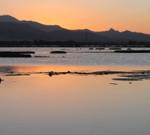 <!--:it-->UNA GIORNATA NELLA LAGUNA DI SANTA GILLA – DOMENICA 24 AGOSTO 2014<!--:--><!--:en-->A DAY IN SANTA GILLA LAGOON – SUNDAY AUGUST 24,2014<!--:-->