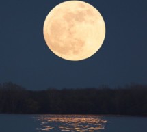 <!--:it-->LUNA E LAGUNA DI SANTA GILLA – CAGLIARI – DOMENICA 10 AGOSTO 2014<!--:--><!--:en-->MOON AND SANTA GILLA LAGOON – CAGLIARI – SUNDAY AUGUST 10,2014<!--:-->