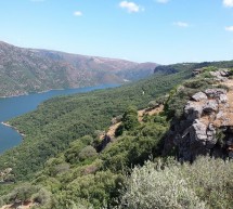 <!--:it-->1° ESCURSIONE IN MOUNTAIN BIKE LAGHI E NURAGHI – NURRI – DOMENICA 7 SETTEMBRE 2014 <!--:--><!--:en-->1st MOUNTAIN BIKE EXCURSION LAGOON AND NURAGHI – NURRI – SUNDAY SEPTEMBER 7,2014<!--:-->