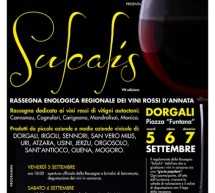 <!--:it-->SULCALIS 2014 – DORGALI – 12-13-14 SETTEMBRE 2014<!--:--><!--:en-->SULCALIS 2014 – DORGALI – SEPTEMBER 12-13-14,2014<!--:-->