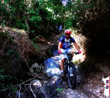 <!--:it-->ESCURSIONE IN MOUNTAIN BIKE A GUTTURU CANNEDU – NARCAO – DOMENICA 26 OTTOBRE 2014<!--:--><!--:en-->EXCURSION MTB AT GUTTURU CANNEDU – NARCAO -SUNDAY OCTOBER 26,2014<!--:-->