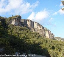 <!--:it-->ESCURSIONE ALLA FORESTA DI MONTARBU – SEUI – DOMENICA 16 NOVEMBRE 2014<!--:--><!--:en-->EXCURSION TO MONTARBU FOREST – SEUI – SUNDAY NOVEMBER 16,2014<!--:-->