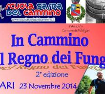 IN CAMMINO NEL REGNO DEI FUNGHI – PUTIFIGARI – DOMENICA 23 NOVEMBRE 2014