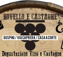 NOVELLO E CASTAGNE – CASA A CORTE –  GUSPINI – VENERDI 21 NOVEMBRE 2014