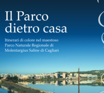 IL PARCO DIETRO CASA – MEM – CAGLIARI – 22 DICEMBRE 2014 – 6 GENNAIO 2015