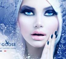 GREY GOOSE NIGHT – COCO’ DISCOCLUBBING – CAGLIARI – VENERDI 23 GENNAIO 2015