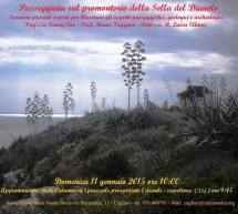 PASSEGGIATA SUL PROMONTORIO DELLA SELLA DEL DIAVOLO – CAGLIARI – DOMENICA 11 GENNAIO 2015