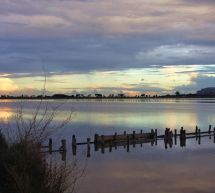 TRAMONTO ALLE SALINE, ESCURSIONE DI BIRDWATCHING – DOMENICA 25 GENNAIO 2015