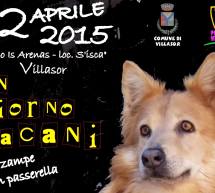 UN GIORNO DA CANI – VILLASOR – DOMENICA 12 APRILE 2015