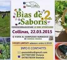 BIAS DE SABORIS 2- COLLINAS – DOMENICA 22 MARZO 2015