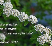 RICONOSCERE E USARE LE ERBE SPONTANEE ED OFFICINALI – CAGLIARI – DA GIOVEDI 9 APRILE 2015