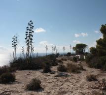 TRAMONTO ALLA SELLA DEL DIAVOLO – CAGLIARI – DOMENICA 29 MARZO 2015