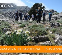 LA PRIMAVERA IN SARDEGNA -FOTO TOUR – 12-19 APRILE 2015