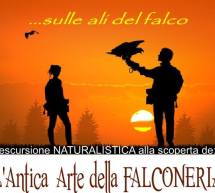 L’ANTICA ARTE DELLA FALCONERIA – SABATO 25 APRILE 2015