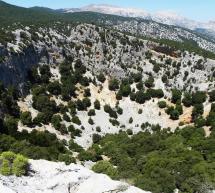 TREKKING ALLA DOLINA DE SU SERHONE E A CAMPU DONANIHORO – OLIENA -DOMENICA 19 APRILE 2015