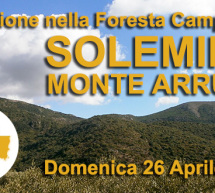 ESCURSIONE NELLA FORESTA CAMPIDANO DI MONTE ARRUBIU – SOLEMINIS – DOMENICA 26 APRILE 2015