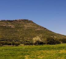 TREKKING ALLA SCOPERTA DI MONTE NARCAO – DOMENICA 3 MAGGIO 2015