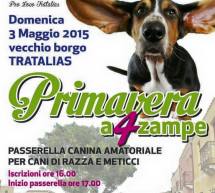 PRIMAVERA A 4 ZAMPE- TRATALIAS – DOMENICA 3 MAGGIO 2015