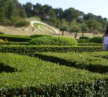 VISITA AL COLLE DI MONTE CLARO – CAGLIARI – DOMENICA 19 APRILE 2015