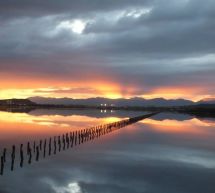 TRAMONTO ALLE SALINE – ESCURSIONE DI BIRDWATCHING – QUARTU SANT’ELENA – SABATO 18 APRILE 2015