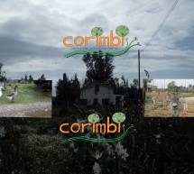 PASQUETTA DA CORIMBI COL CUARTETO LEON – GIARDINO FIORITO – SS,131 – LUNEDI 6 APRILE 2015